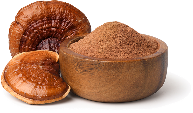 Reishi Side